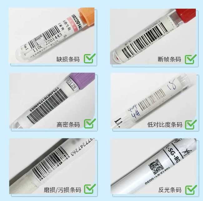 新大陆自动识别IVD自动扫码及视觉解决方案.png